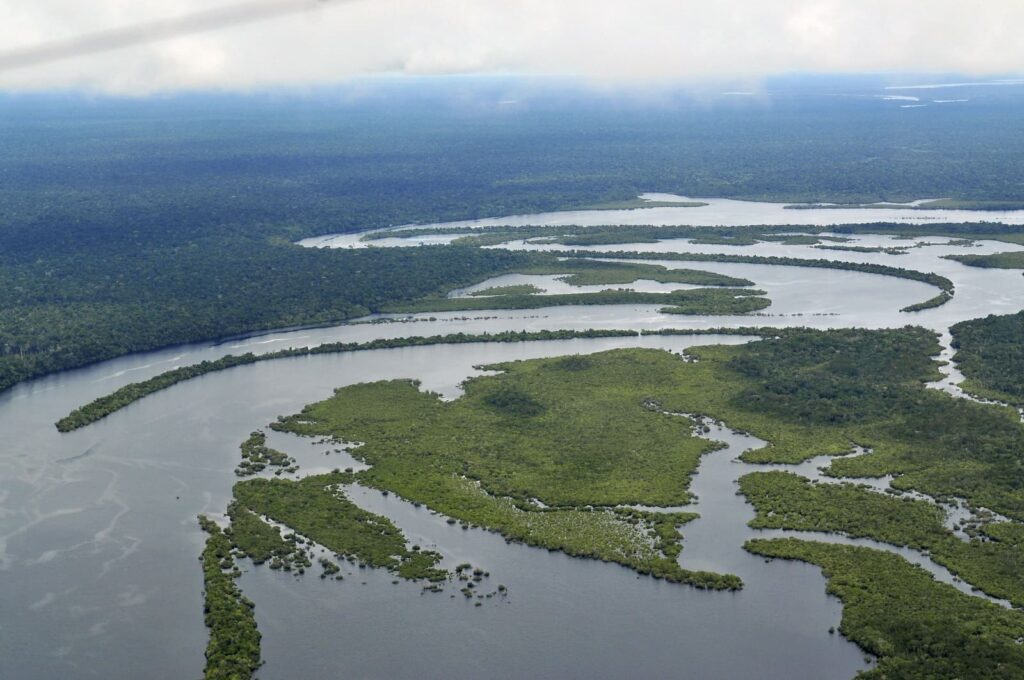 Amazon river