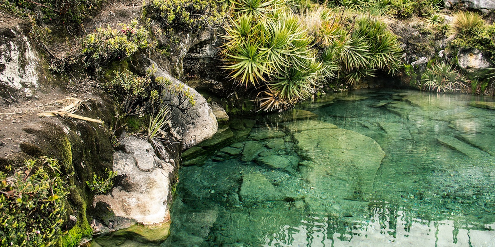 Termatalia 2025 Wellness Tourism Colombia: Paipa’s International Thermal Fair