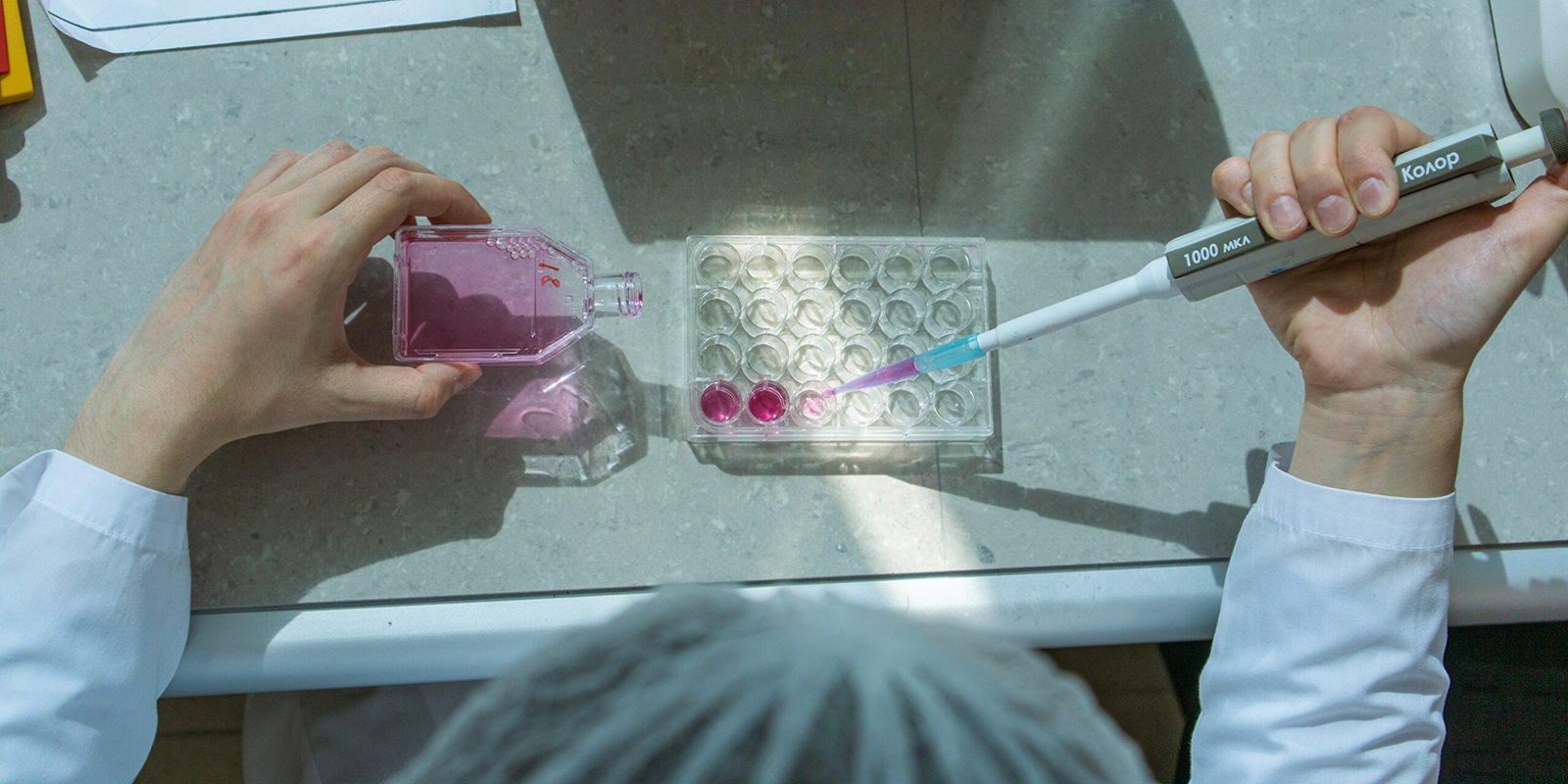 Medellin’s REDBIO 2025 Put Biotech, Bioeconomy, and DeepTech on Stage​