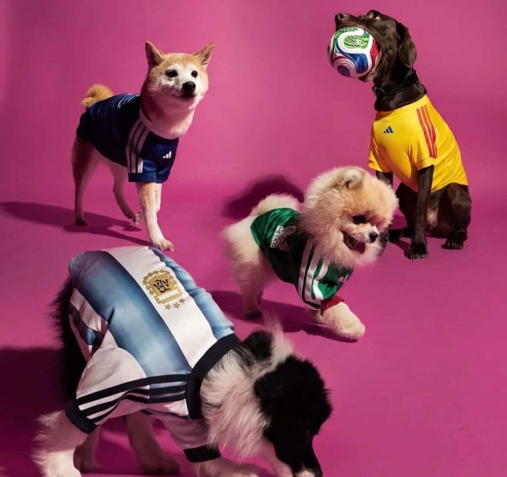 adidas 2026 world cup jerseys pets